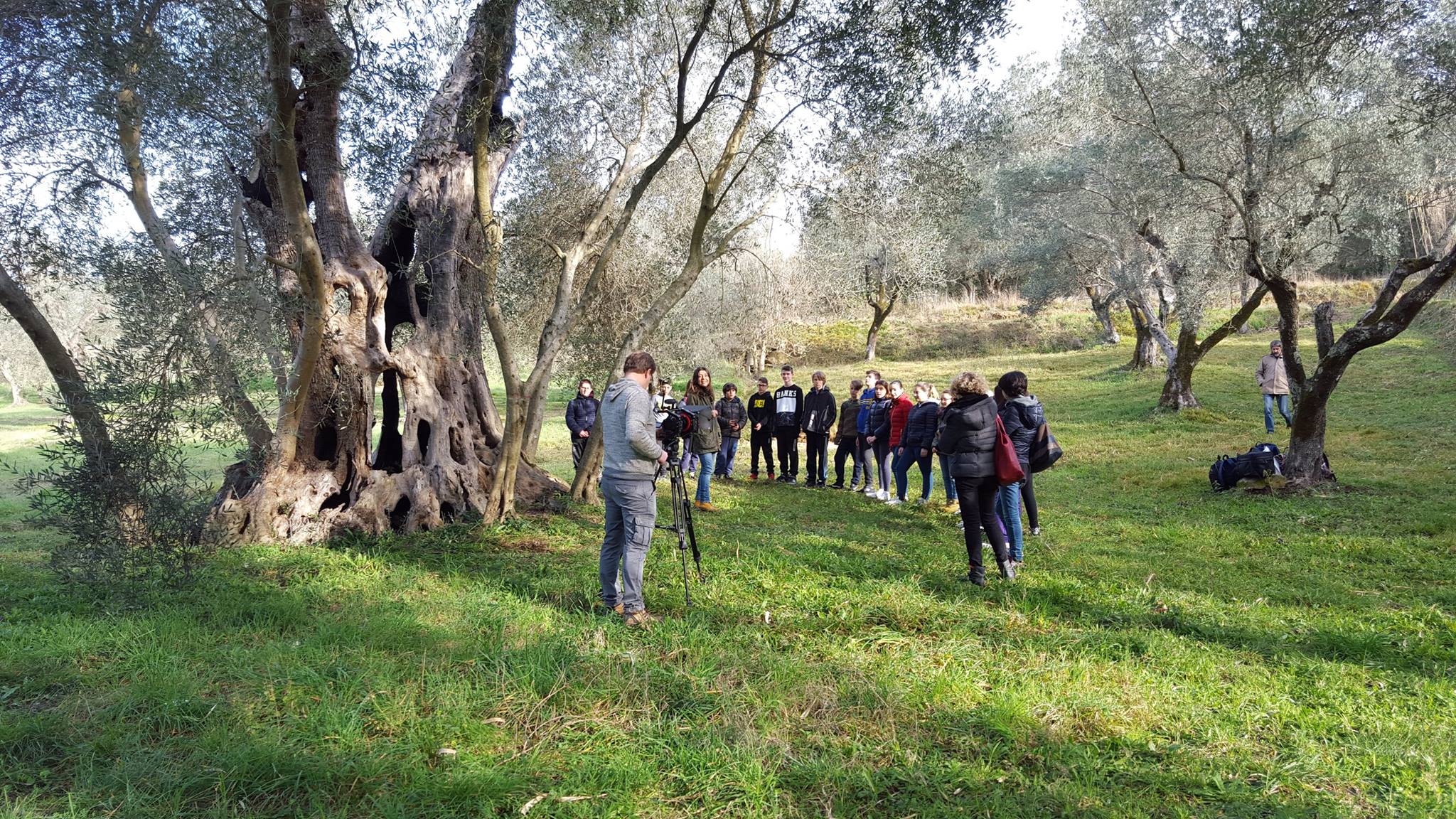 Olivone di Fibbianello bambini delle scuole di Semproniano sotto l'Olivone di Fibbianello