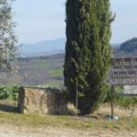 thatsamiata_il_poderuccio_2