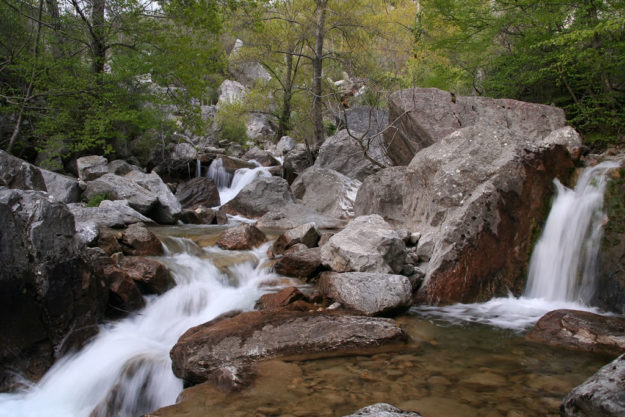 Fiume Albegna Uno scorcio del fiume Albegna