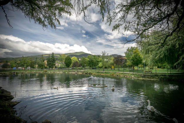 PARCO_DEI_CIGNI