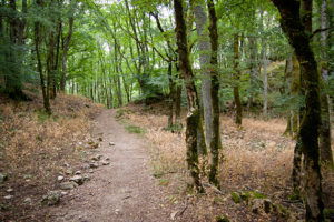 monte_penna_1