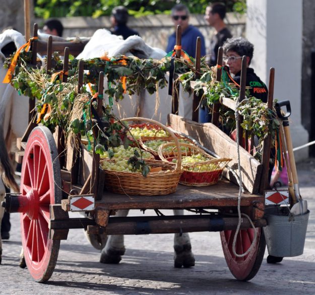 festa uva