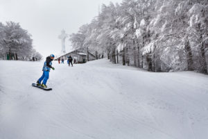 foto_pista