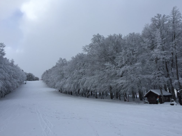 Schermata 2018-02-08 alle 08.57.51