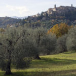 Il borgo di Seggiano dietro una distesa di olivi