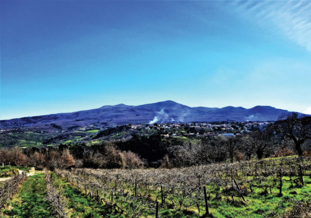 Amiata_web