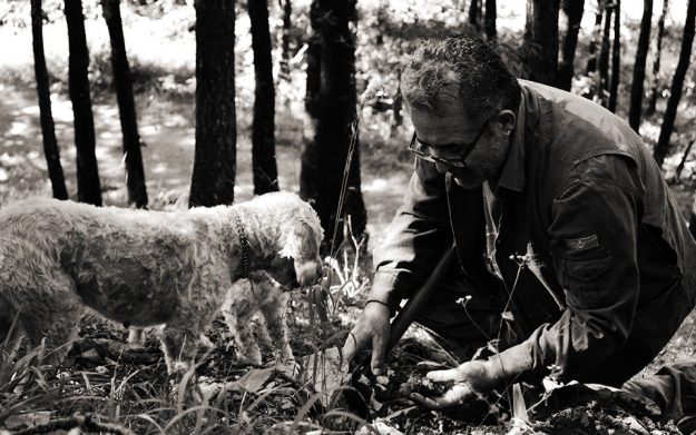 Cane da tartufo con il padrone Cercatore di tartufo con il proprio cane