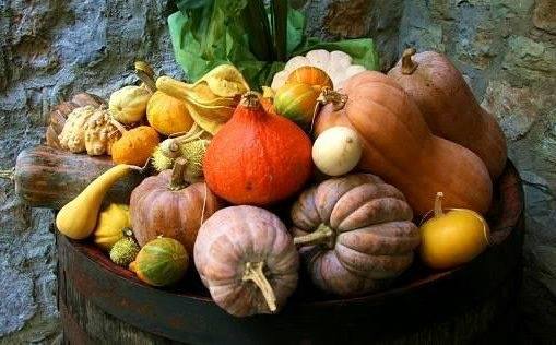 ZUCCA_AMIATA