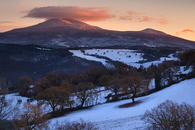 Monte_Amiata_Rosa