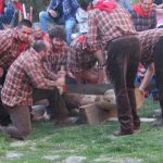 Due contrade si sfidano al taglio di un tronco di castagno