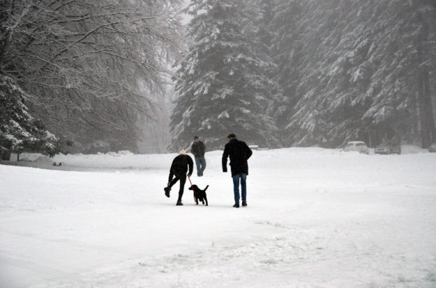 Turisti sull’Amiata Turisti sull'Amiata che camminano sulla neve