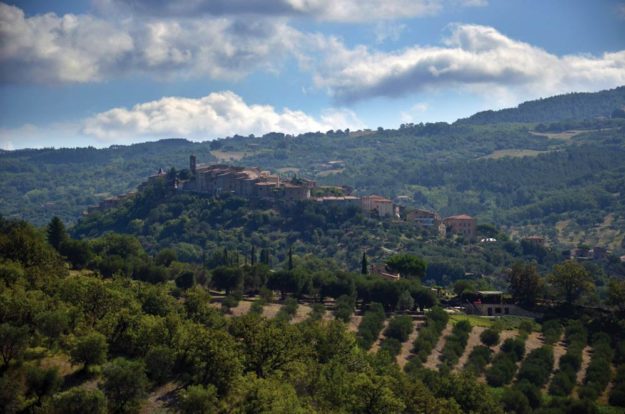 Panorama di Seggiano ed i suoi dintorni