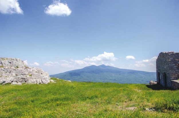 Un prato verde e la il monte Amiata in prospettiva