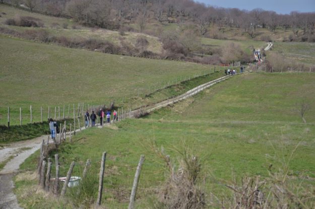Amanti del trekking mentre stanno camminando