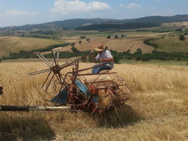 Un uomo seduto su un mezzo agricolo