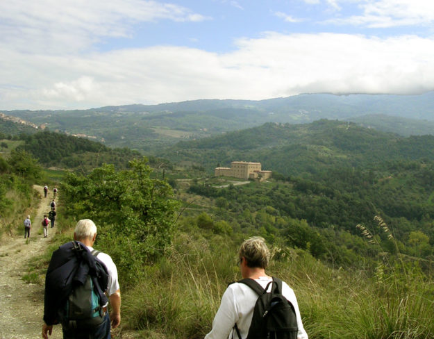 Due persone che stanno camminando lungo una strada di campagna