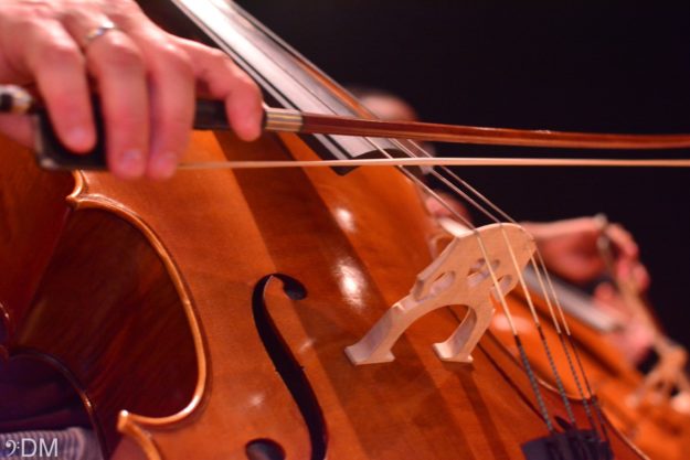 foto di uno strumento a corde