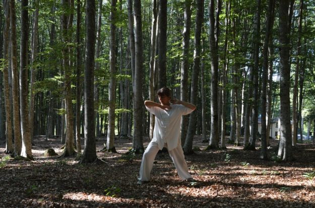 Una donna nel movimento dell'arte taiji