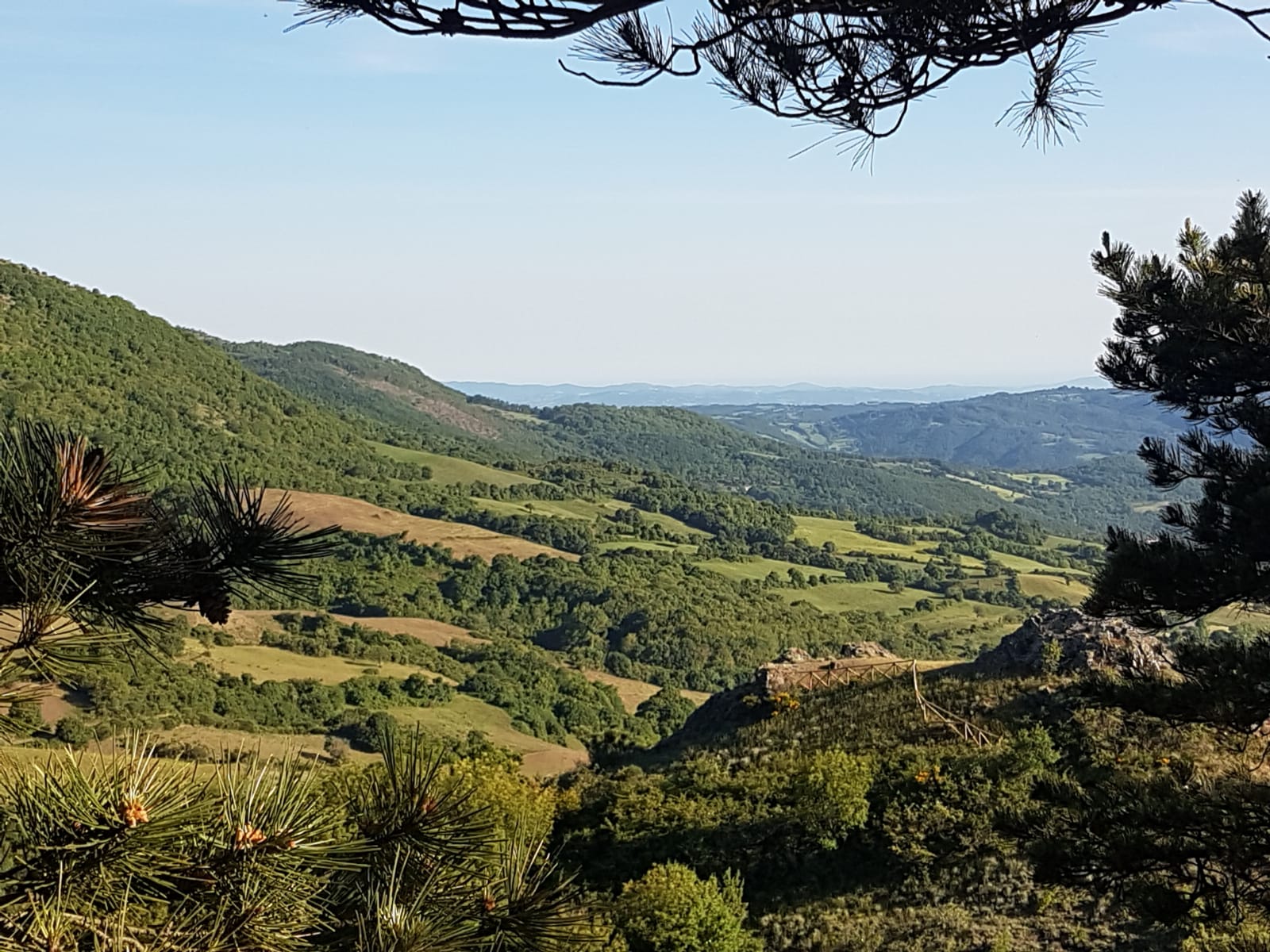 Panorama riserva naturale Poggio All’Olmo