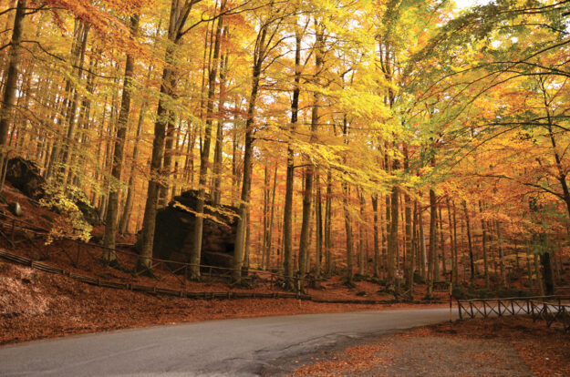 arrivo-sentiero-madonna-del-camicione-autunno