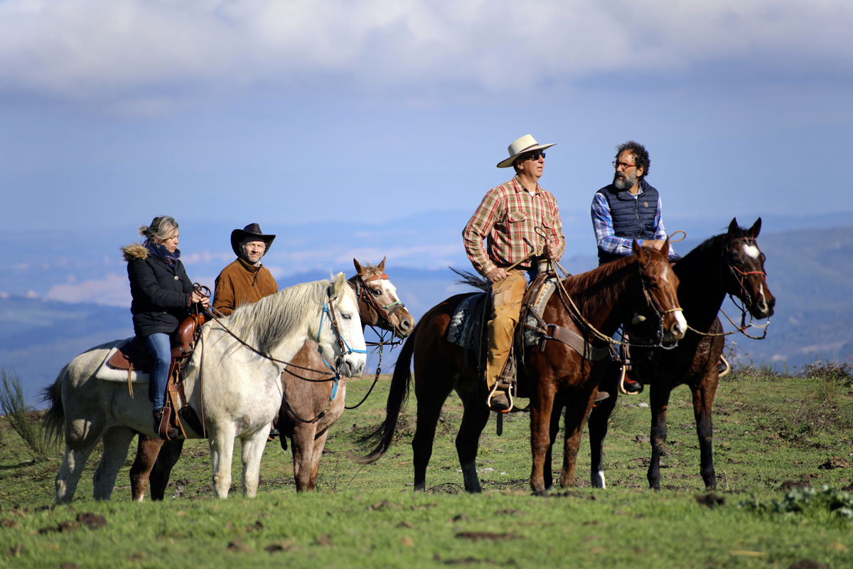 foto-programma-cavalli