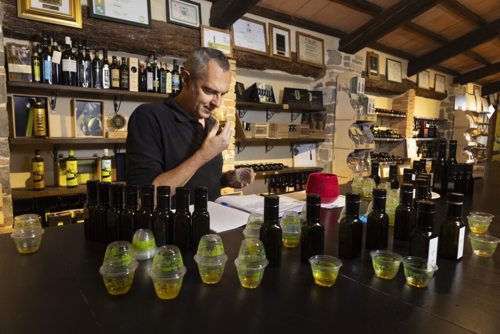 Giorgio Franci degustazione olio Giorgio Franci degustazione olio