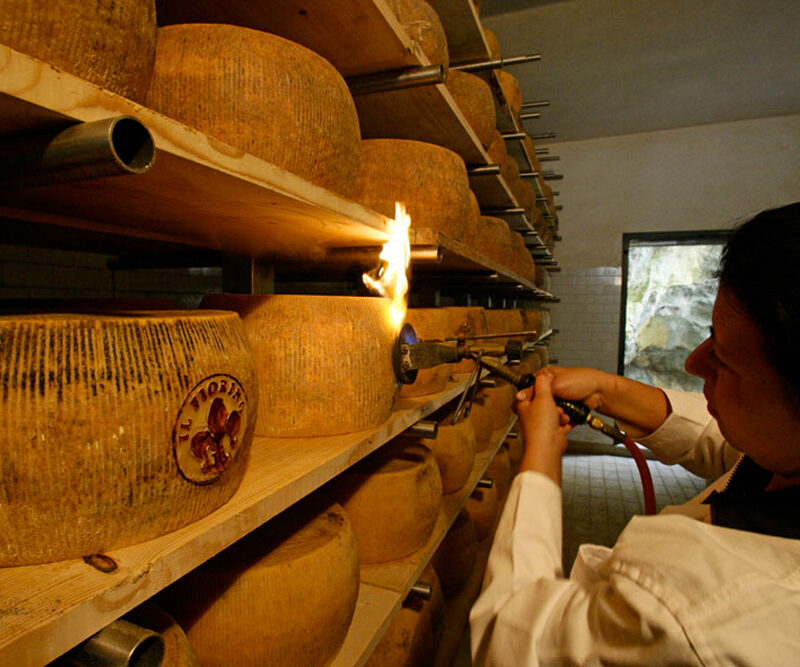 sostenitori-il-fiorino-foto-1000x667