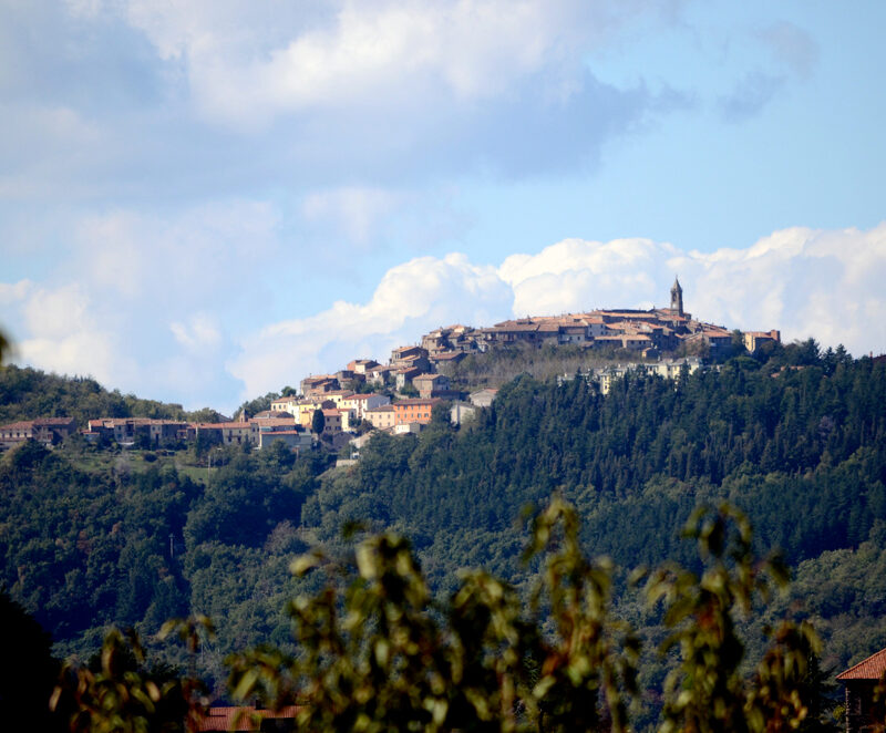 sostenitori-pro-loco-monticello-1000x662