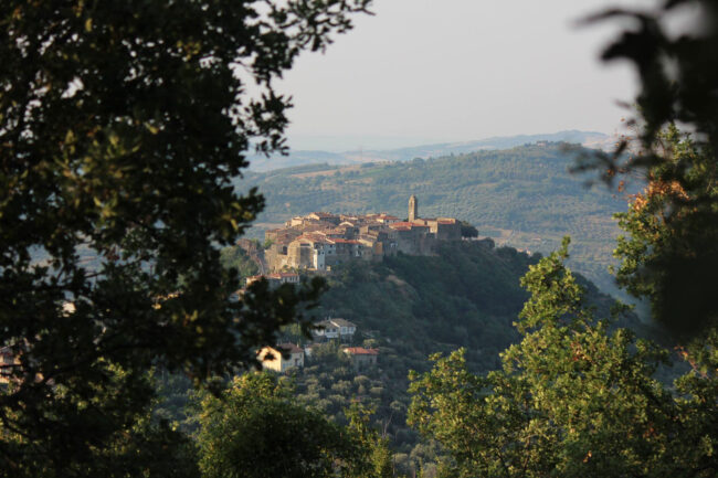 11057644_994852987201222_6507251232329935300_o