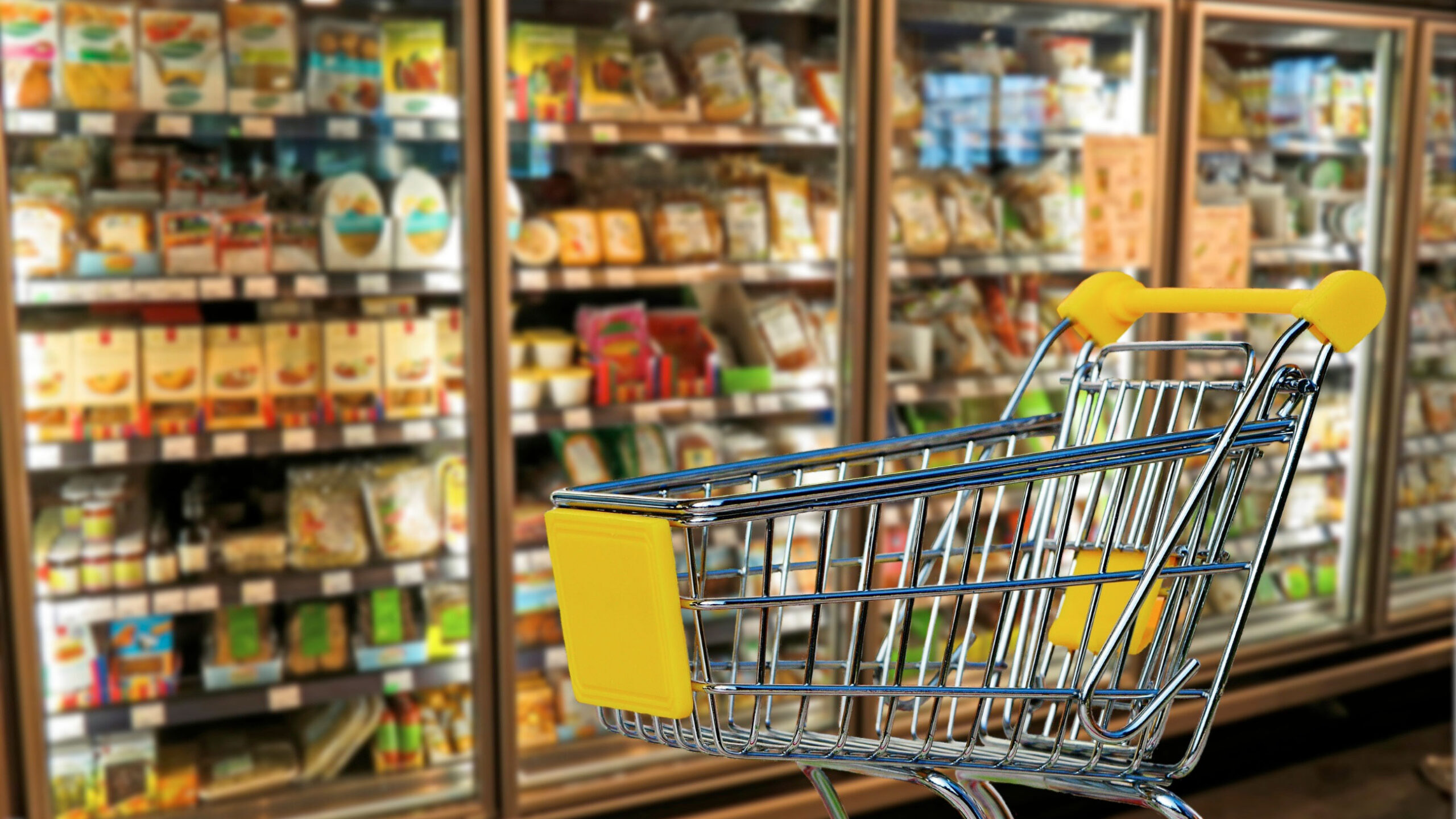 Alimentari_Seggianese_Copertina