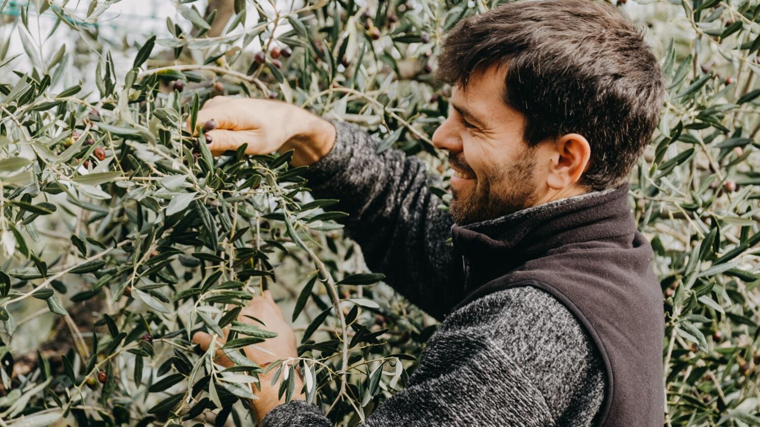 Poderi-Borselli-Davide-Borselli