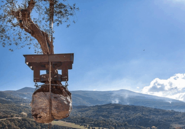 Schermata-2017-05-17-alle-12.56.46