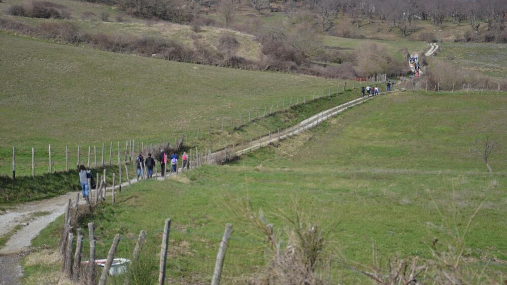 Trekking-nel-parco-faunistico