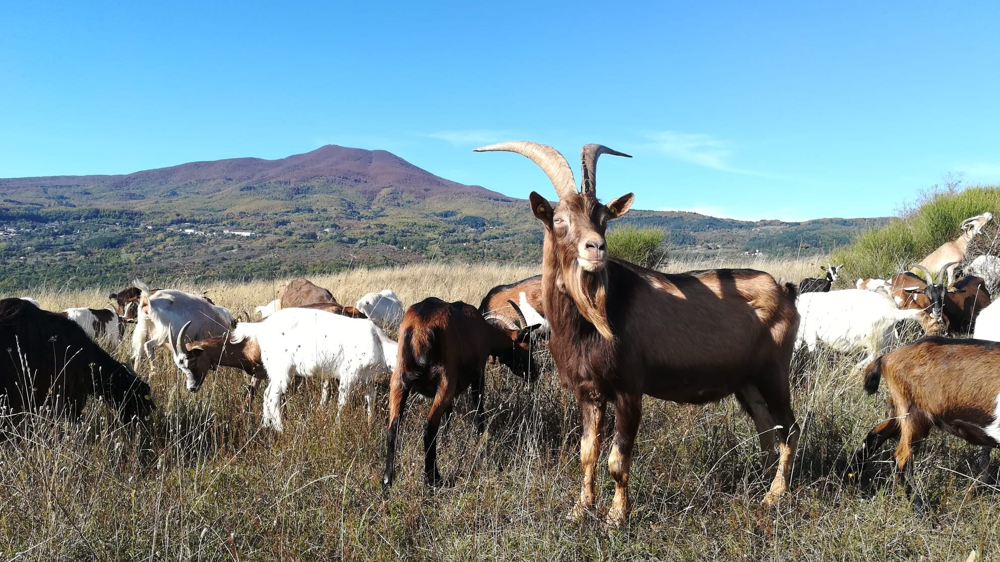 WhatsApp-Image-2021-05-16-at-19.44.33