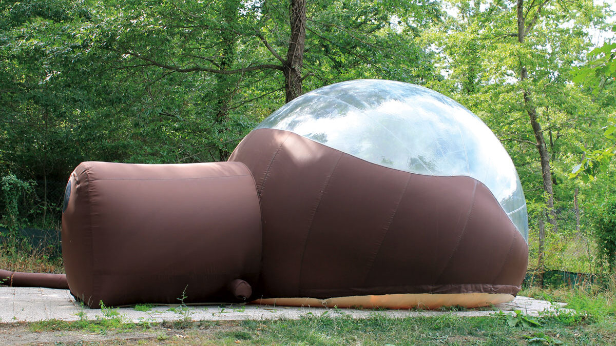 camera-con-vista-nel-bosco