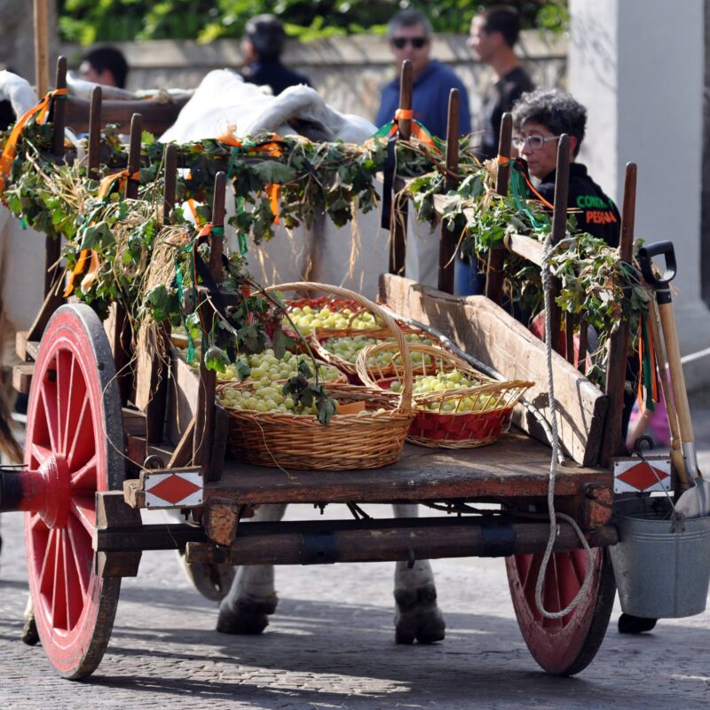 festa-uva