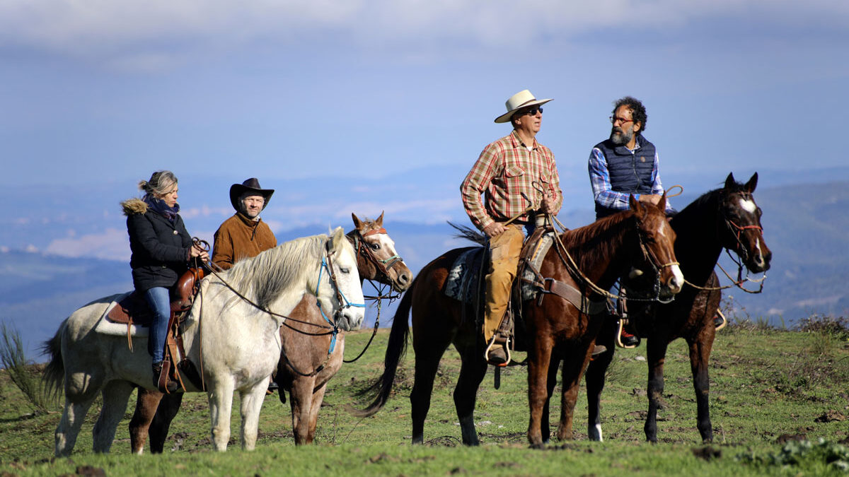foto-programma-cavalli