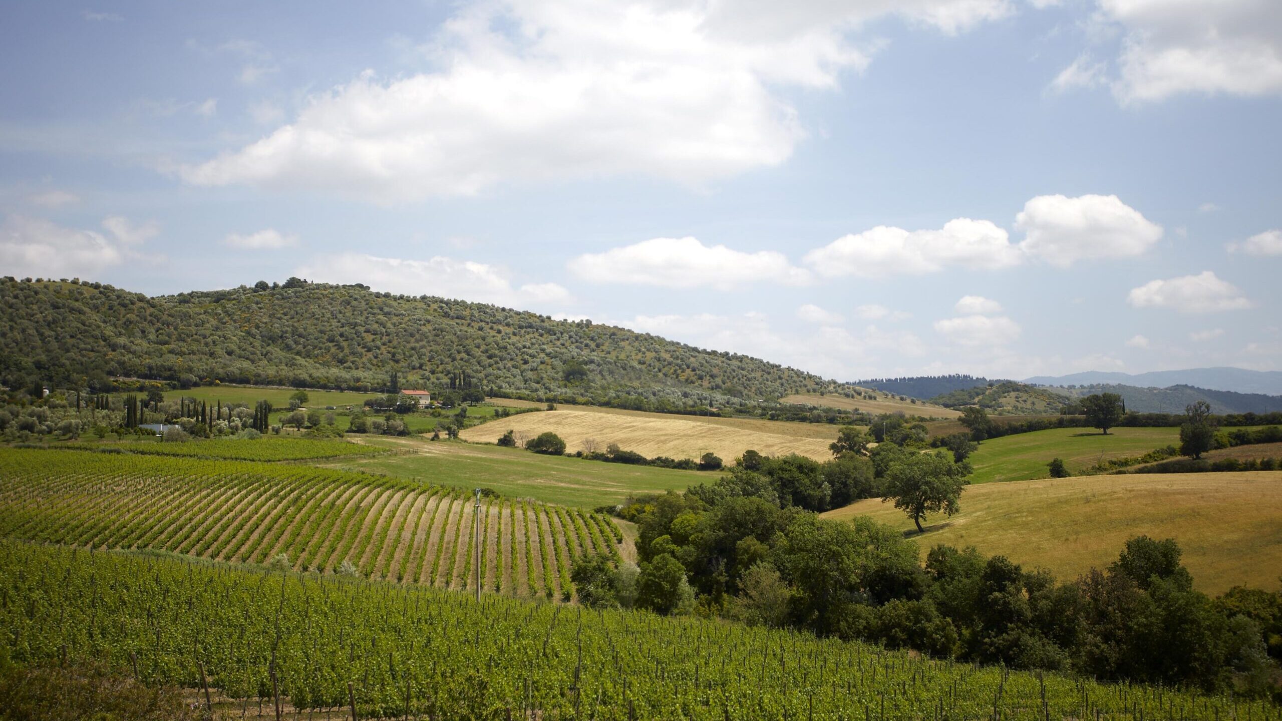 immagini-montecucco-77