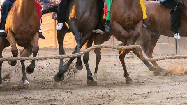 palio-casteldelpiano