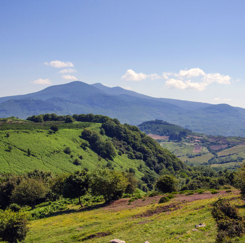 panorama-parco-arcidosso-monte-amiata