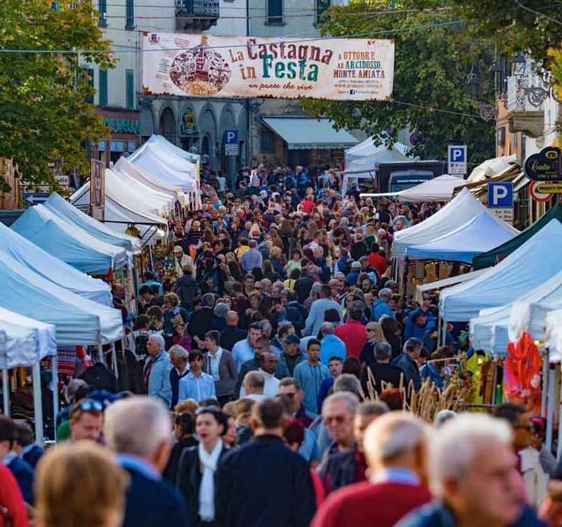 stand festa castagna 1