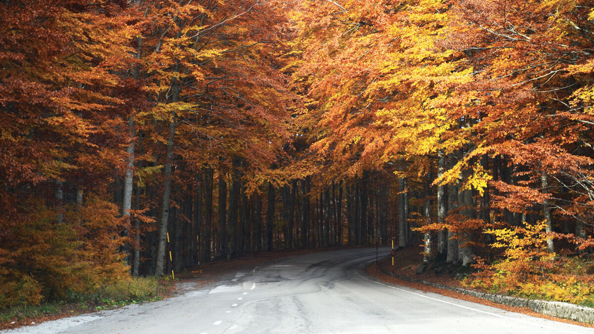 strada-immersi-colori-amiata