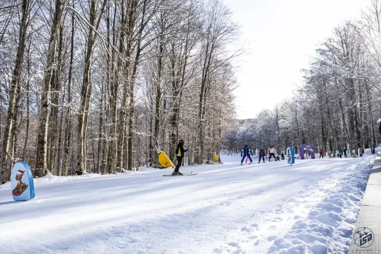 Sci Campo scuola Macinaie Bambini Sci Campo scuola Macinaie Bambini