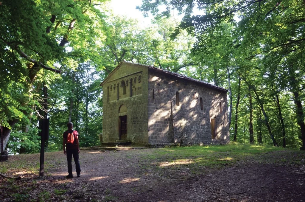 Sorgenti Adf Nel Bosco (1)
