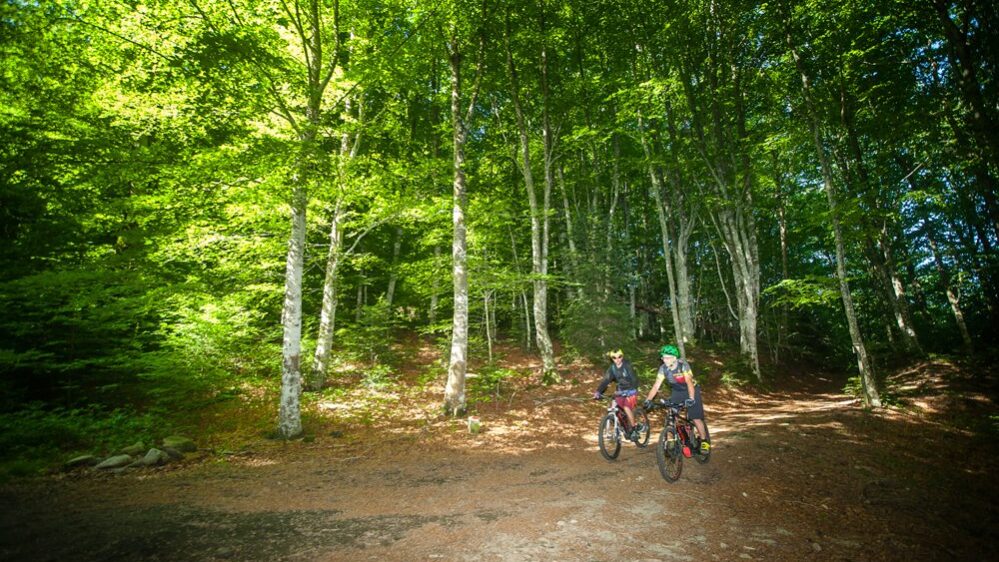 bici escursioni bici escursioni